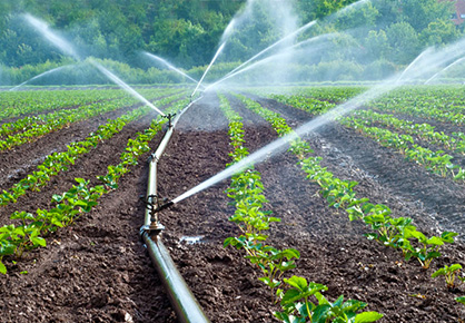 O papel dos agentes de retenção de água na agricultura sustentável